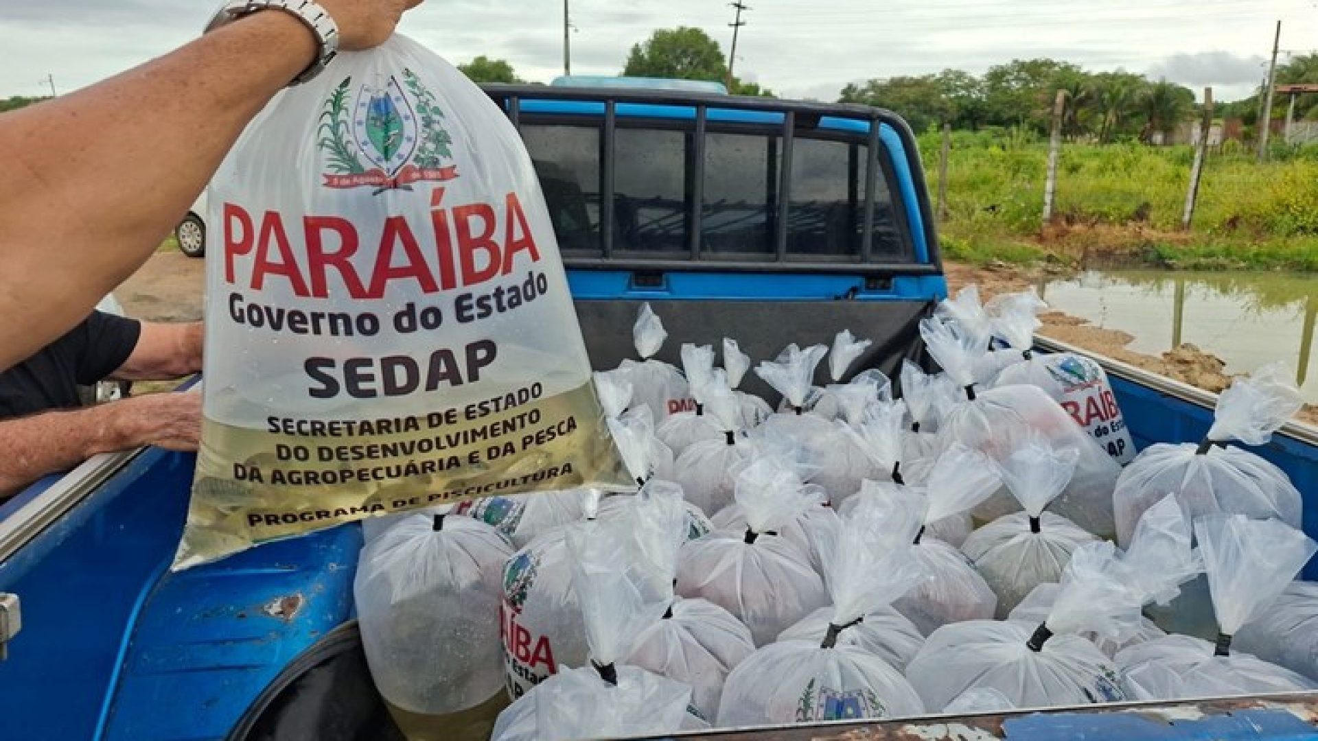 0f823897-f792-4df3-9263-9790a118a3f8