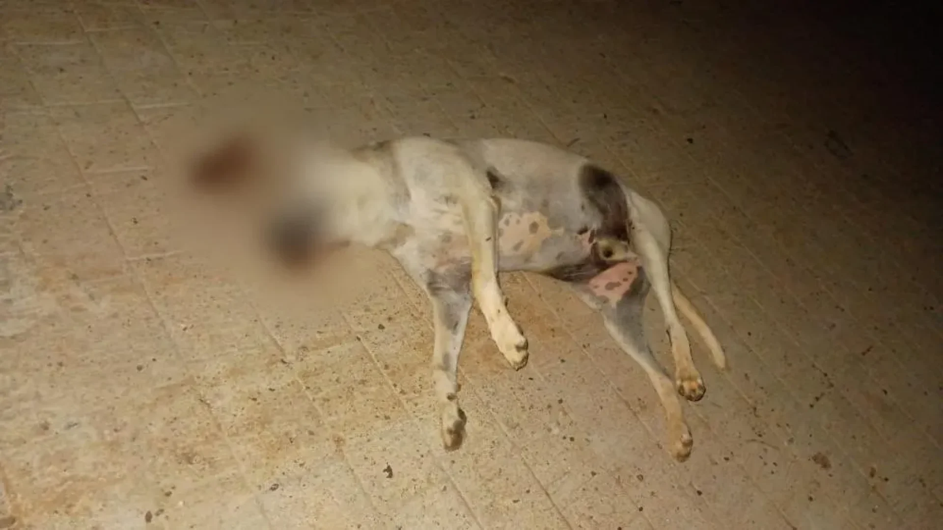 cb501cba0bc82249fa4e0964541c2af9